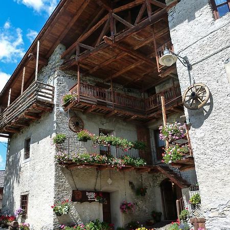 Agriturismo Barba Gust تْشيسانا تورَنيسي المظهر الخارجي الصورة