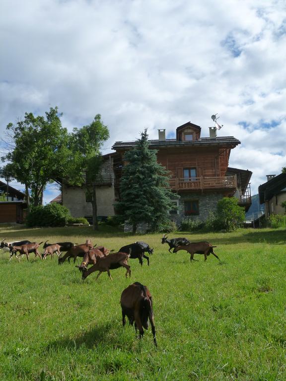 Agriturismo Barba Gust تْشيسانا تورَنيسي المظهر الخارجي الصورة