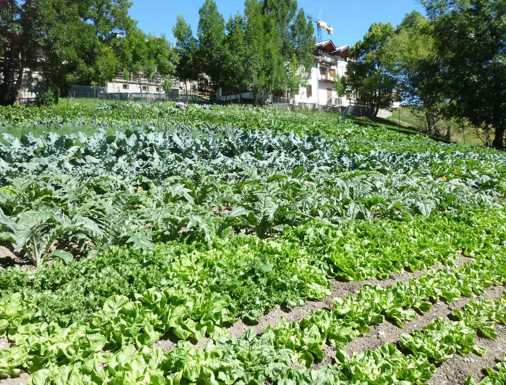 Agriturismo Barba Gust تْشيسانا تورَنيسي المظهر الخارجي الصورة