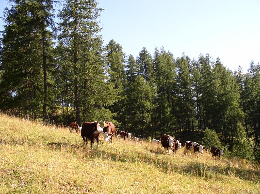Agriturismo Barba Gust تْشيسانا تورَنيسي المظهر الخارجي الصورة