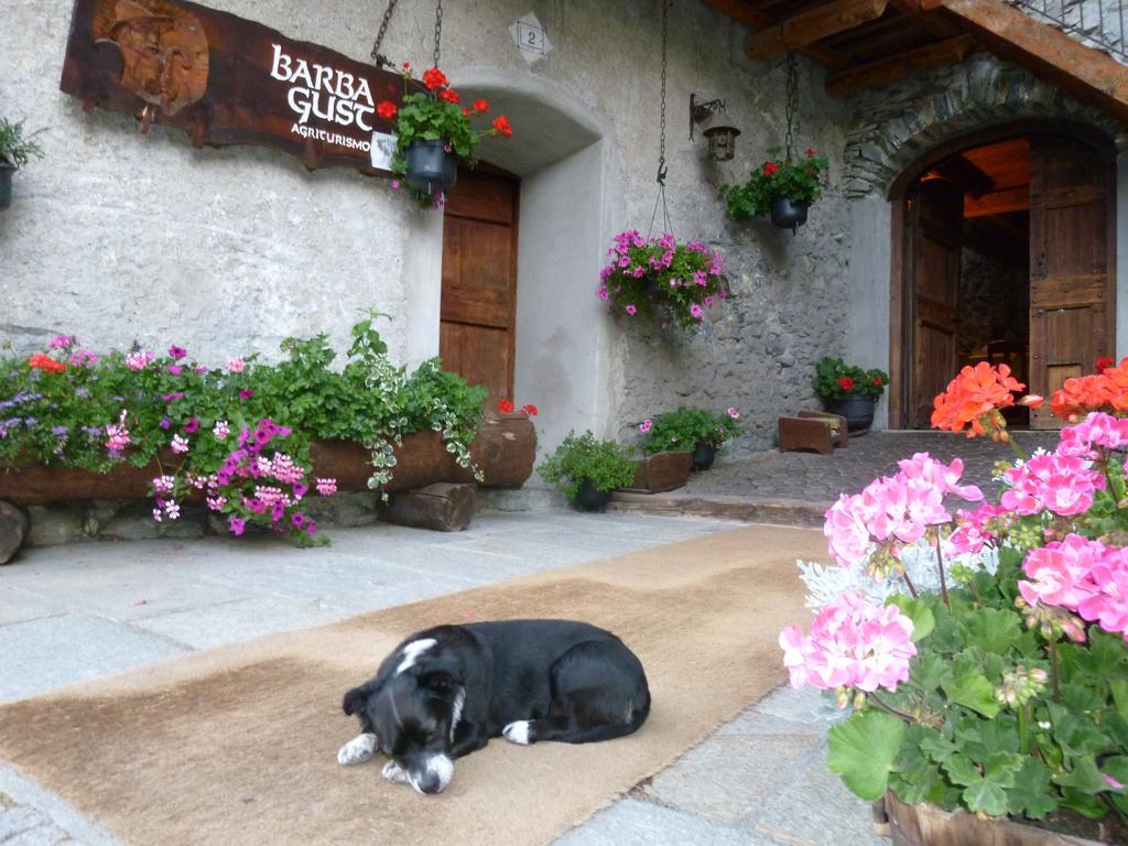 Agriturismo Barba Gust تْشيسانا تورَنيسي المظهر الخارجي الصورة