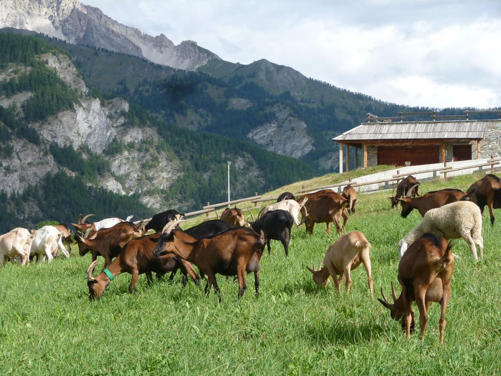 Agriturismo Barba Gust تْشيسانا تورَنيسي المظهر الخارجي الصورة