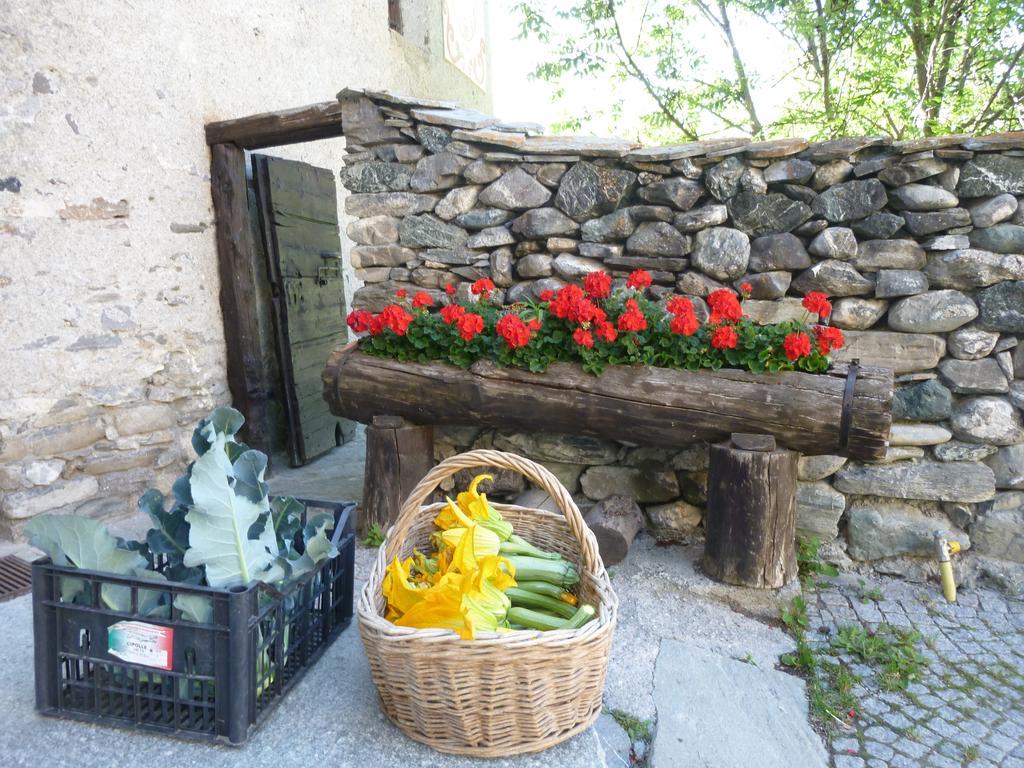 Agriturismo Barba Gust تْشيسانا تورَنيسي المظهر الخارجي الصورة