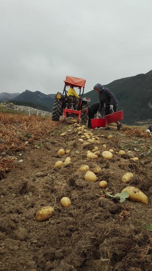 Agriturismo Barba Gust تْشيسانا تورَنيسي المظهر الخارجي الصورة